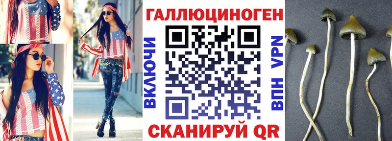 Галлюциногенные грибы Magic Shrooms  Купить  Новый Оскол 